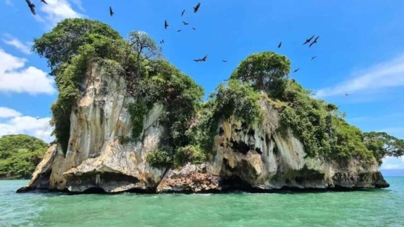 Los Haitises National Park: Boat Tour - A detailed look at the Los Haitises Boat Tour