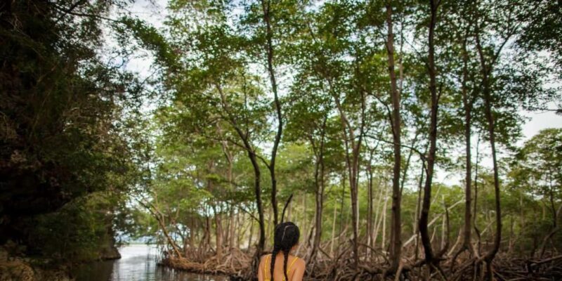 Los Haitises National Park: Boat Tour with Caves Visit - FAQ