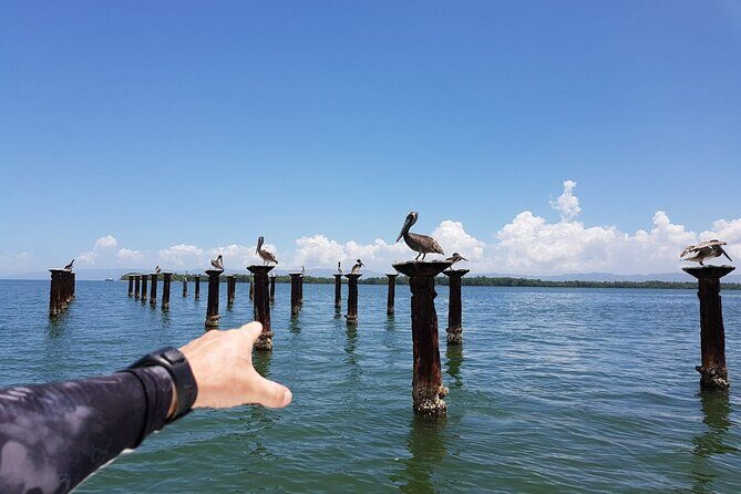 Los Haitises National Park, Montaña Redonda & Bacardi Island - In-Depth Breakdown: What to Expect and Why It Matters