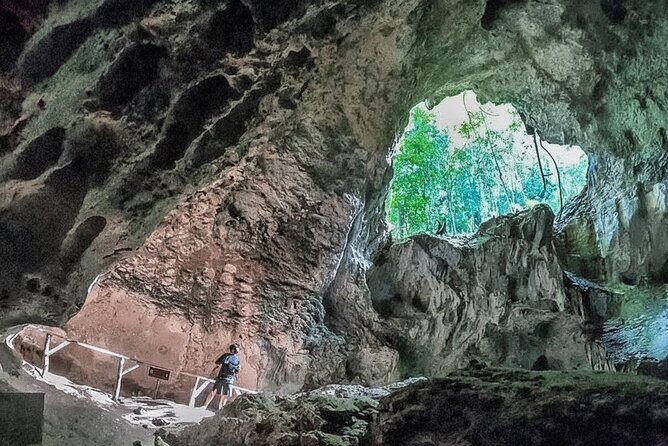Los Haitises National Park & Montaña Redonda Day Tour - Exploring Los Haitises National Park