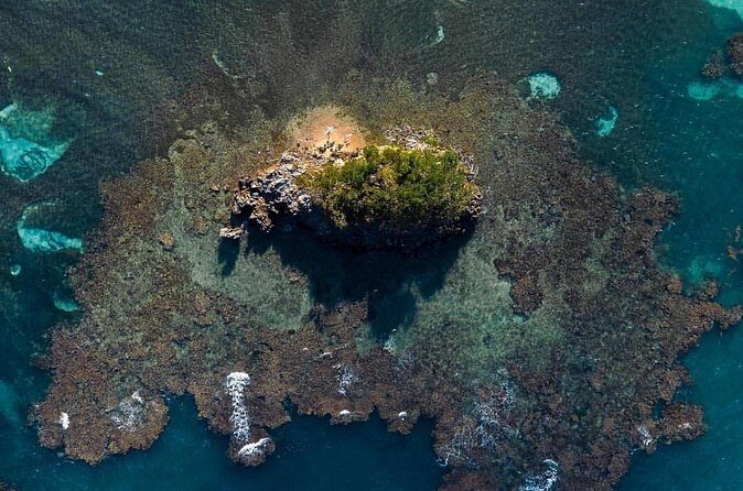 Los Haitises National Park private Kayaking 4 hours trip Mangroves and Cave - Final Thoughts: Is It Worth It?