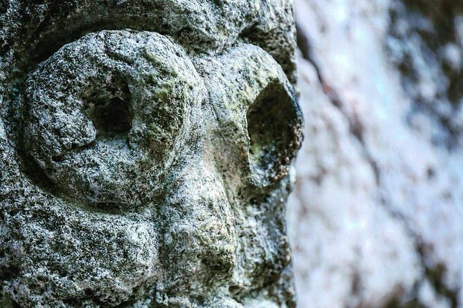 Los Haitises National Park Tour from Punta Cana, Montana Redonda & Cano Hondo - The Practical Details: What You Need to Know