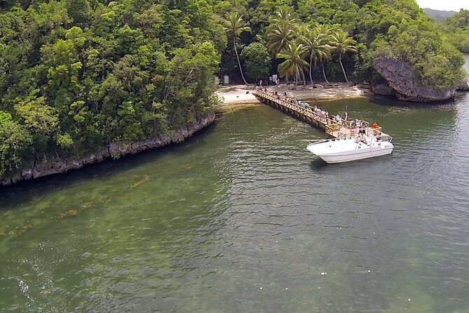 Los Haitises National Park Tour with Lunch from Punta Cana - Key Points