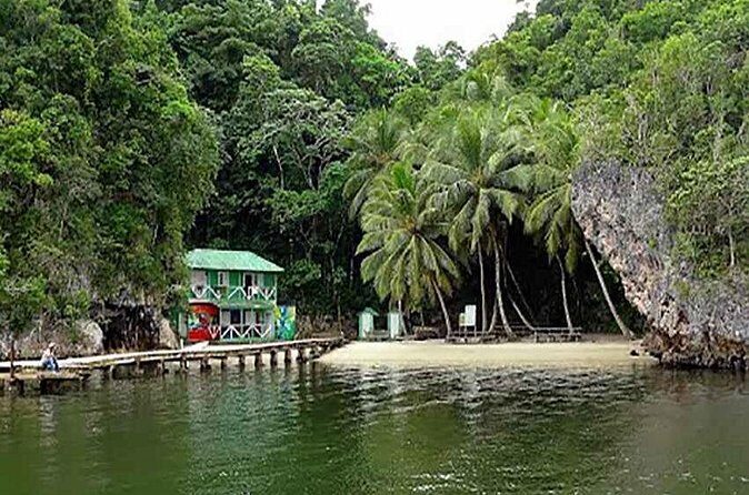 Los Haitises National Park Tour with Lunch from Punta Cana - Is It Worth It?
