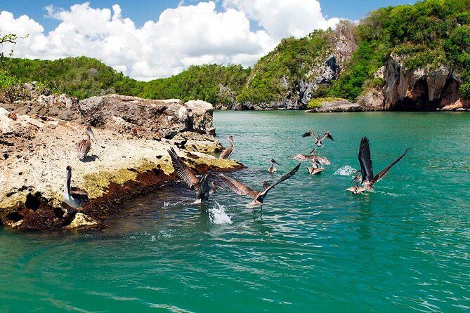 Los Haitises Plus Bacardi Island for Samana Cruise Ship Travelers - Exploring the Dominican Republic’s Natural Wonders: Los Haitises Plus Bacardi Island Tour