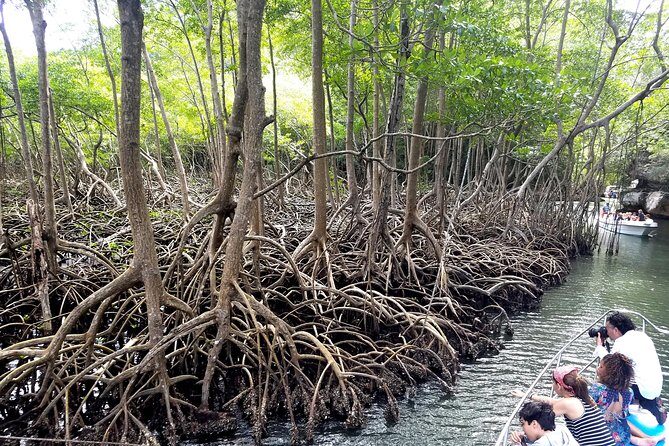 Los Haitises Plus Bacardi Island for Samana Cruise Ship Travelers - FAQ