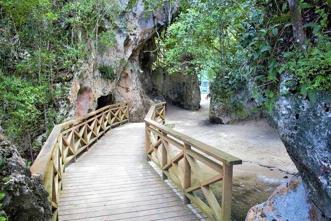 Los Haitises Private Boat Tour - An In-Depth Look at the Los Haitises Private Boat Tour