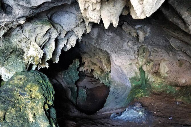 Los Haitises Private Boat Tour - Final Thoughts