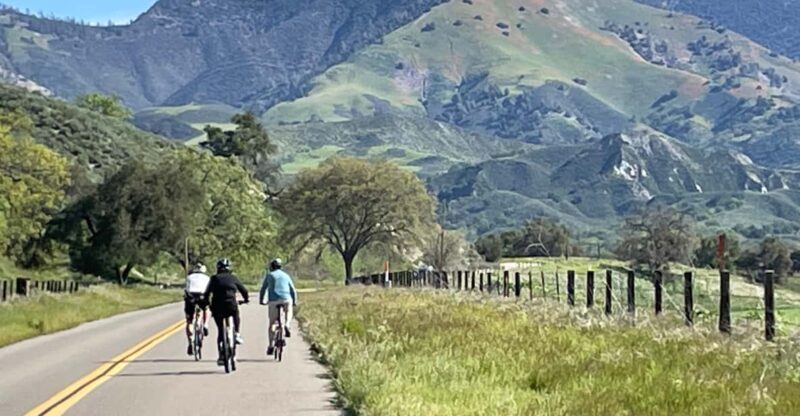 Los Olivos: E-Bike Tour + Vineyard Lunch w/Wine Tasting - Key Points