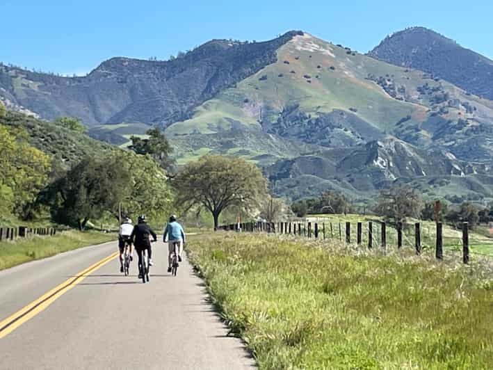 Los Olivos: E-Bike Tour + Vineyard Lunch w/Wine Tasting - Practical Details and What Makes This Tour Stand Out