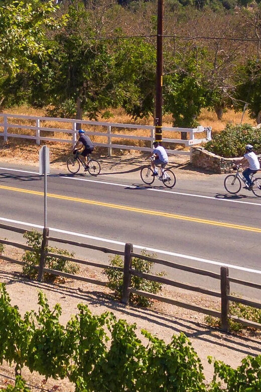 Los Olivos: E-Bike Tour + Vineyard Lunch w/Wine Tasting - The Sum Up: The Practical Choice for Authentic Santa Ynez Experiences