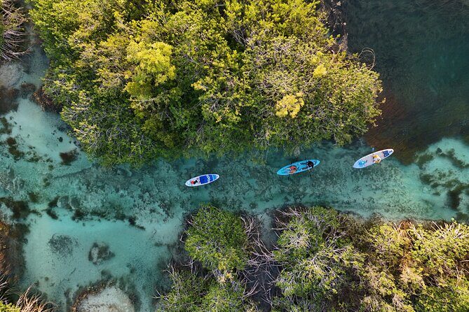 Los Rapidos Sunrise Paddle Boarding with Pick Up - Key Points
