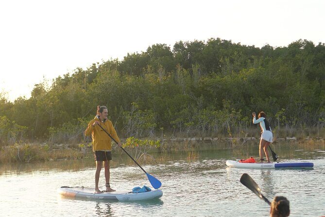 Los Rapidos Sunrise Paddle Boarding with Pick Up - Final Thoughts