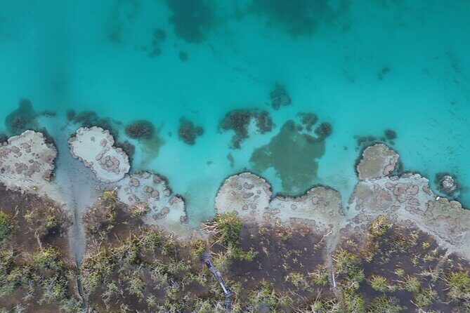 Los Rapidos Sunrise Paddle Boarding with Pick Up - FAQ