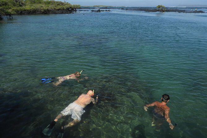 Los Tuneles Day Tour: Snorkeling, Exploring and Swimming With Wildlife - Final Thoughts