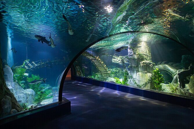 Lotte World Aquarium Hanoi Admission Ticket - Detailed Review of the Lotte World Aquarium Hanoi Experience