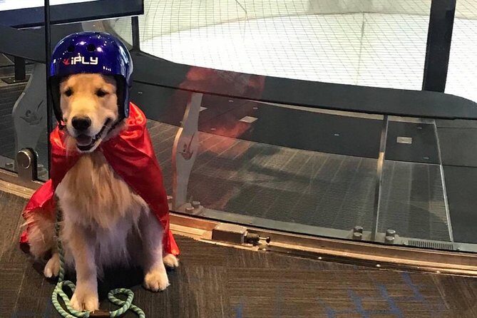 Loudoun Indoor Skydiving Experience with 2 Flights & Personalized Certificate - The Certificate and Additional Perks