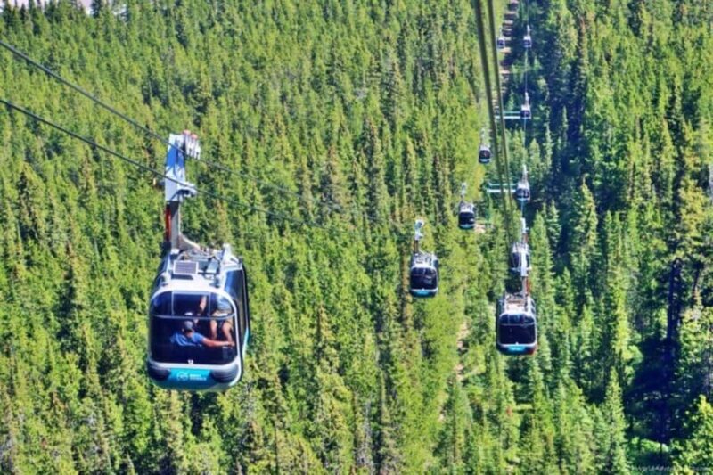 Louise Louise, Banff Gondola, Minnewanka & Emerald Lakes - What’s Included and What to Keep in Mind