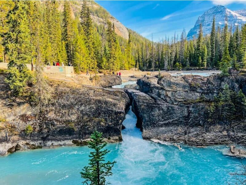 Louise, Moraine/Bow, Emerald, Peyto- 4 Lake Tour - Who Is This Tour Best For?