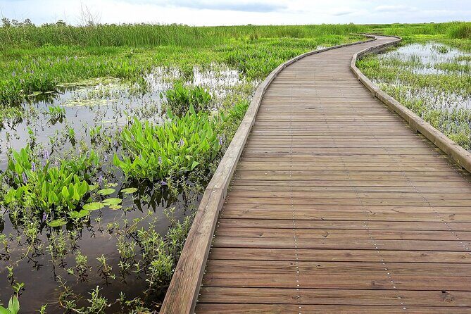 Louisiana Creole Nature Trail Self-Guided Audio Driving Tour - A Deep Dive into the Louisiana Creole Nature Trail Experience