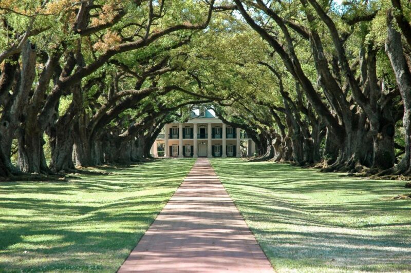 Louisiana: Laura, Oak Alley, or Whitney Plantation Tours - Who Will Love This Tour?