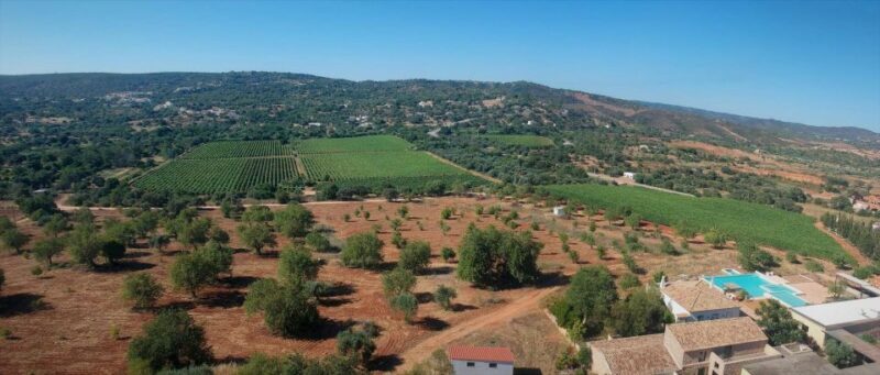 Loulé: Quinta da Tôr Winery Guided Tour and Wine Tasting - Practical Details and Tips