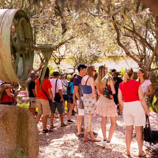 L'Oulibo oil mill: Guided tour - Discover the Art of Olive Oil at LOulibo: Guided Tour in Southern France