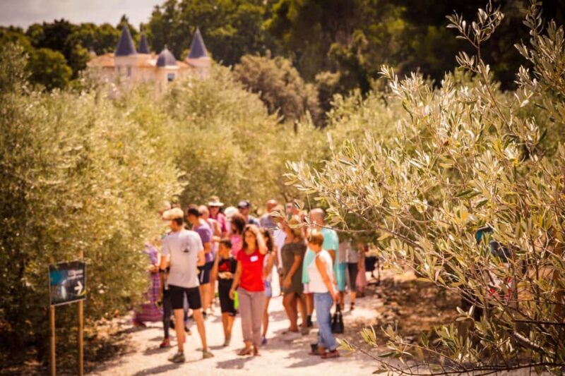L'Oulibo oil mill: Guided tour - Our Take on the Experience: Why It Works