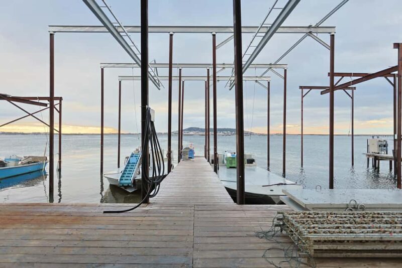 Loupian: Tour guide of our oyster farm and tasting - Key Points