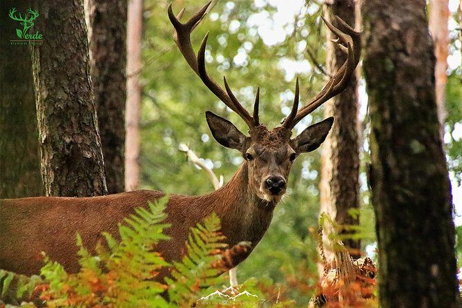 Lousa Mountain Private Tour - Key Points