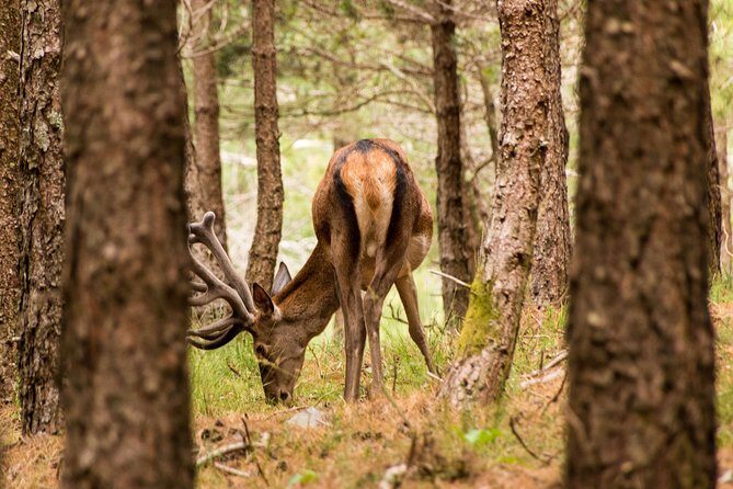 Lousa Mountain Private Tour - Final Thoughts: Who Should Book This Tour?