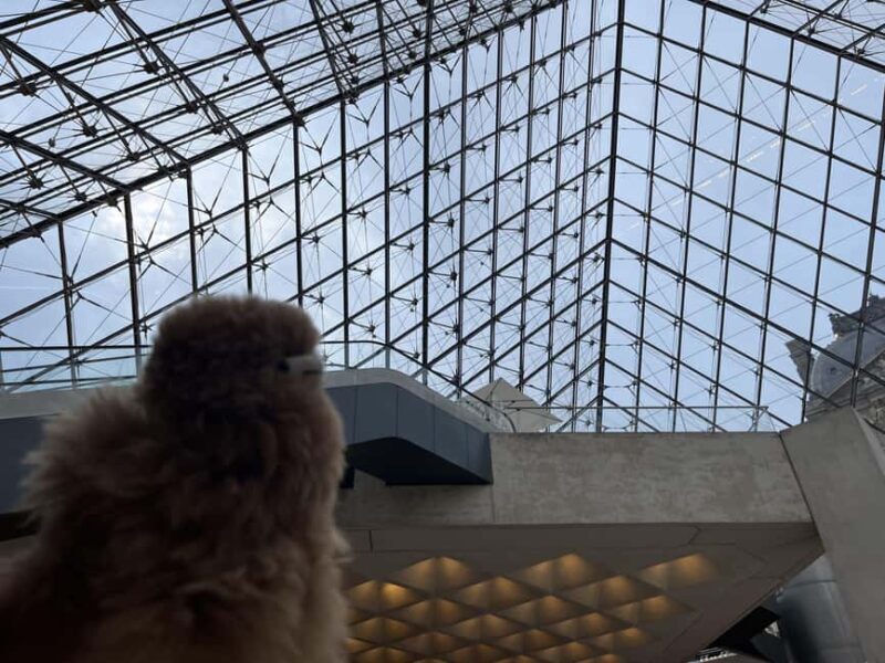 Louvre Museum Entry Ticket and Private Guided Tour - Final Thoughts