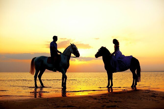 Love is in the air! Private horseback ride on the beach and sunset dinner! - Love in the Air: Private Horseback Ride and Sunset Dinner in Cabo San Lucas