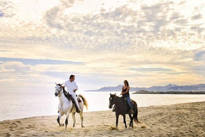 Love is in the air! Private horseback ride on the beach and sunset dinner! - Who Should Book This Tour?