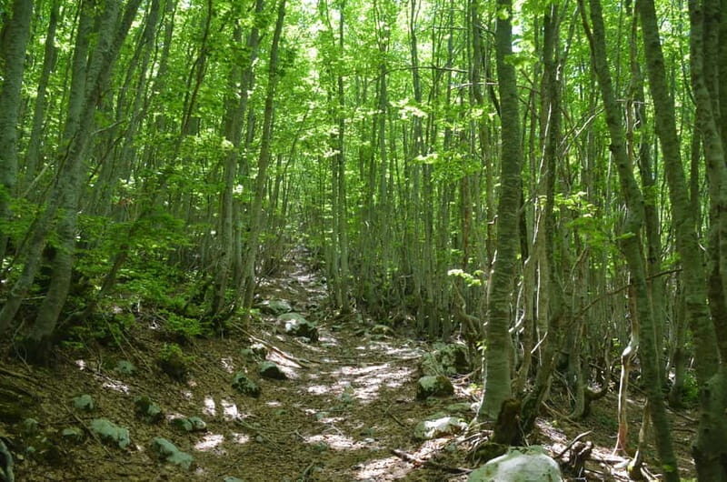 Loven Hiking Private Tour - Why This Tour Stands Out