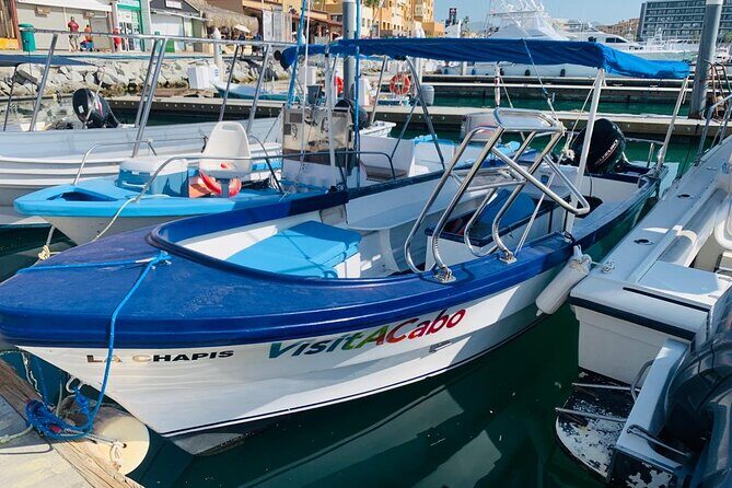Lovers Beach and El Arco Boat Trip - Exploring the Lovers Beach and El Arco Boat Trip