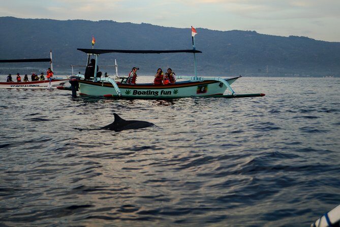 Lovina Dolphin Watching, Snorkeling and Waterfall Tour in Bali - Final Thoughts: Why Choose This Tour?