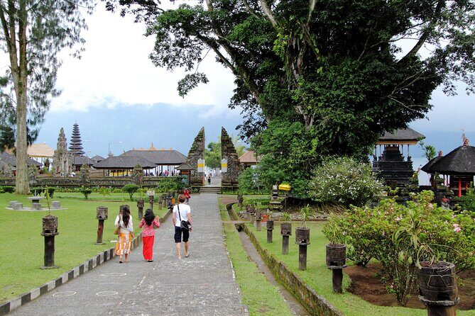 Lovina Dolphin Watching, Swimming, and Snorkeling Experience - Exploring the Lovina Dolphin Watching Tour in Detail