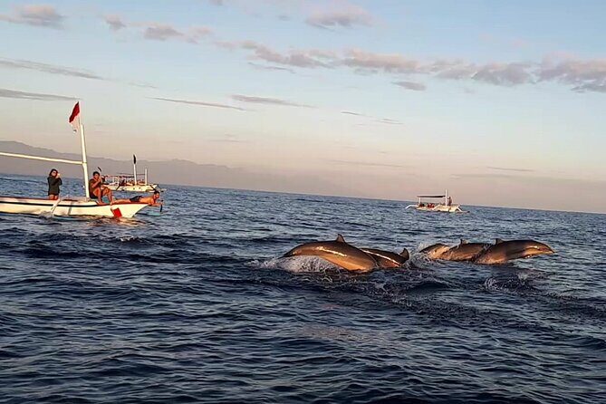 Lovina Sunrise Dolphin with option snorkeling and waterfall - A Closer Look at the Tour: What to Expect and Why It Matters