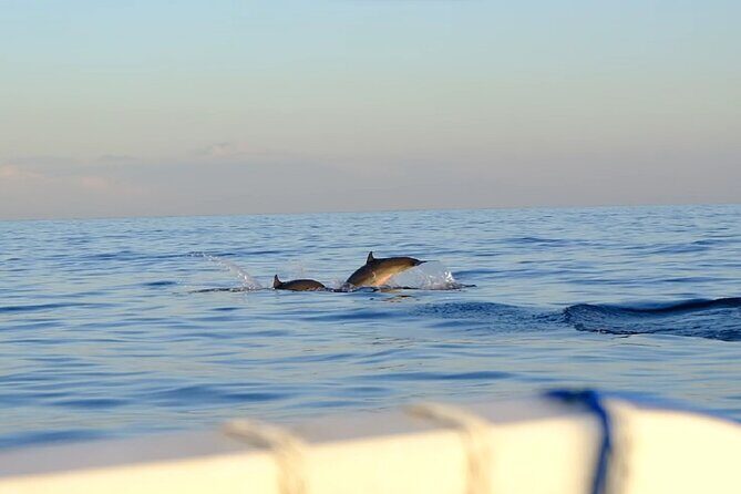 Lovina Sunrise Dolphin with option snorkeling and waterfall - Who Should Consider This Tour?