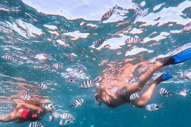 Lovina Sunrise Dolphin with option snorkeling and waterfall - FAQ