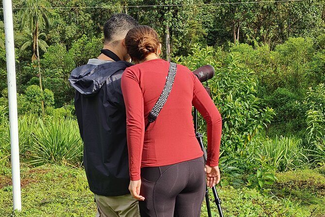 Low Cost Birdwatching Tour in Mindo (Tanagers, hummingbirds) - Final Thoughts: Is This Tour Worth It?