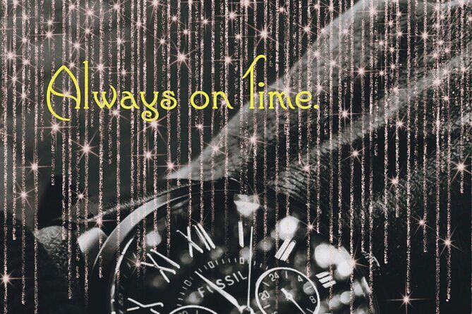 Low Cost:-Private Transfer: Niagara Falls Canada to Toronto Pearson Airport - Final thoughts