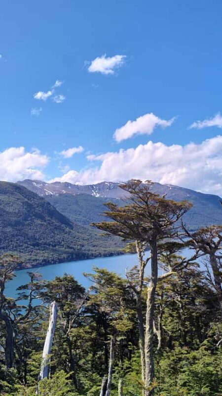 Low Cost Ushuaia Lakes Tour - An In-Depth Look at the Ushuaia Lakes Tour