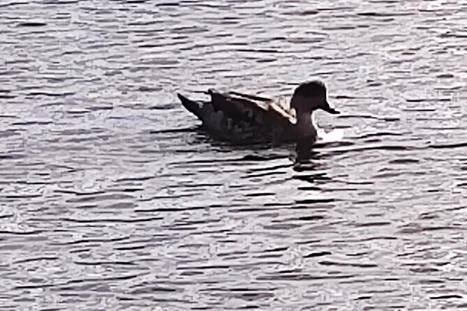 Low cost Ushuaia National Park Private tour - Key Points