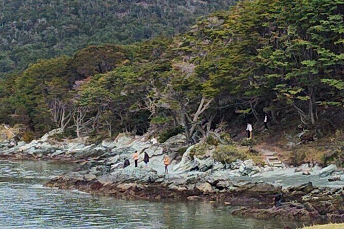 Low cost Ushuaia National Park Private tour - Inside Tierra del Fuego National Park: Visitor Center and Lake Roca
