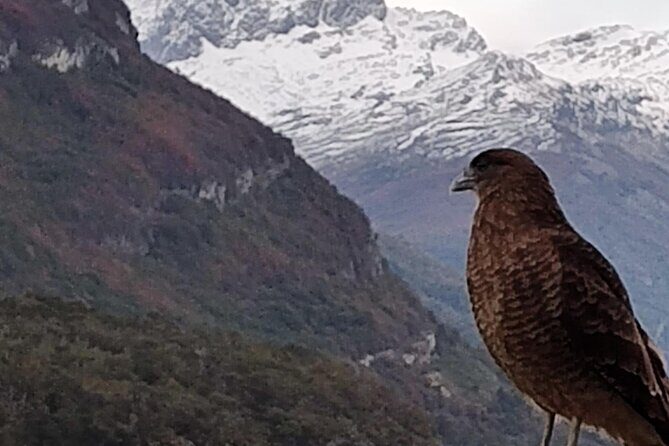 Low cost Ushuaia National Park Private tour - Practical Details & Value