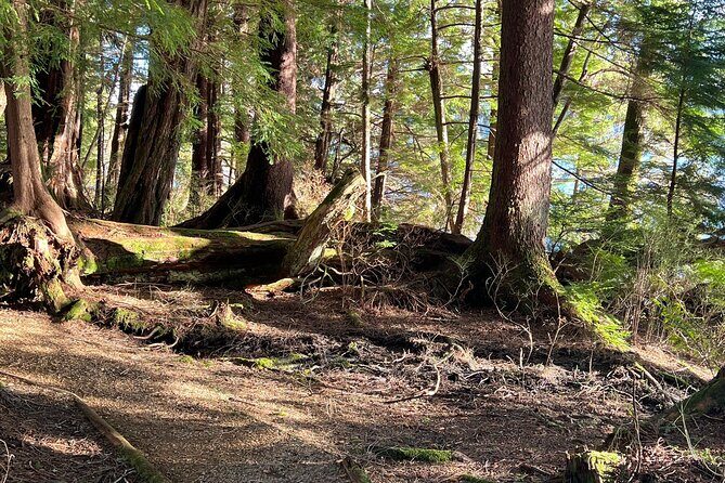 Low Tide Excursion & Totem Bight Park - Final Thoughts