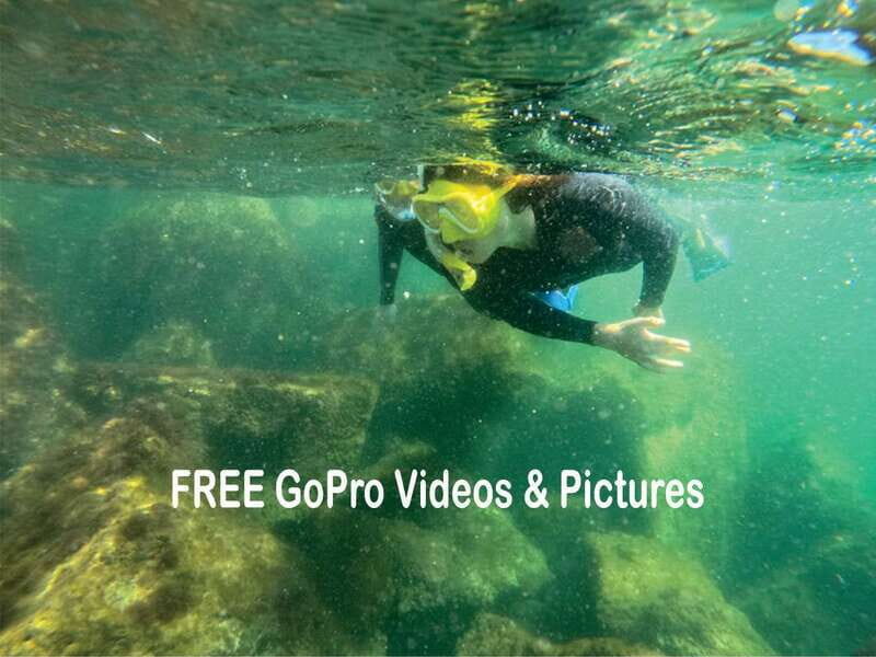Lower Grand Lagoon: Panama City Beach Guided Snorkeling Tour - Key Points