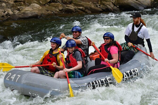 Lower Yough Pennsylvania Classic White Water Tour - Authentic Travelers’ Perspectives and Insights
